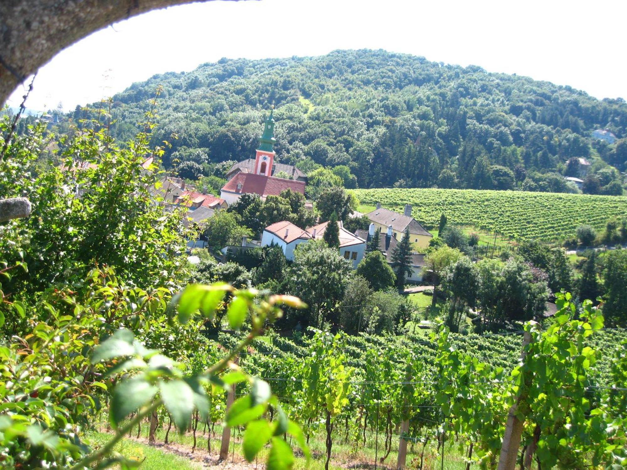 Vienna Cottage エクステリア 写真